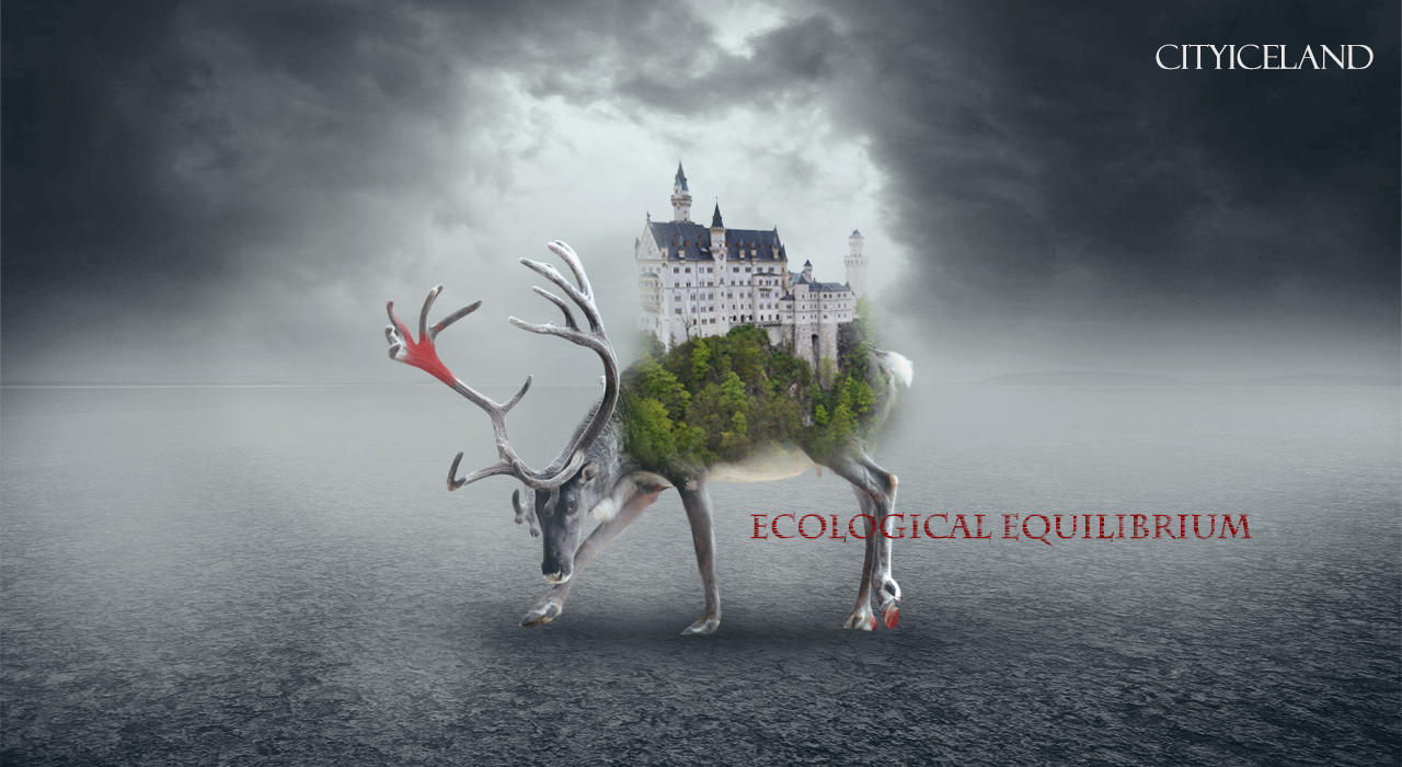 cityiceland的个人主页（封面预览） - 主页封面设置 - 站酷设计师cityiceland原创素材 - 站酷ZCOOL