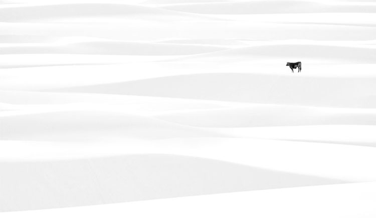 無勿的個人主頁（封面預(yù)覽） - 主頁封面設(shè)置 - 站酷設(shè)計(jì)師無勿原創(chuàng)素材 - 站酷ZCOOL