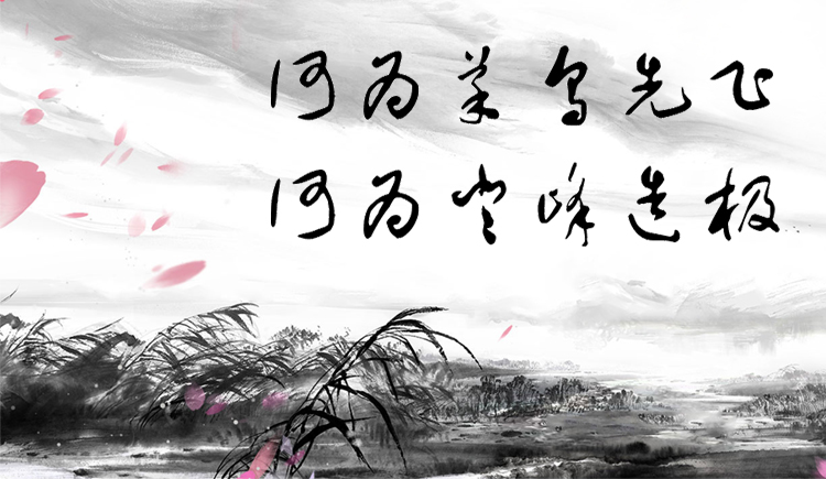 枭方Max的个人主页（封面预览） - 主页封面设置 - 站酷设计师枭方Max原创素材 - 站酷ZCOOL