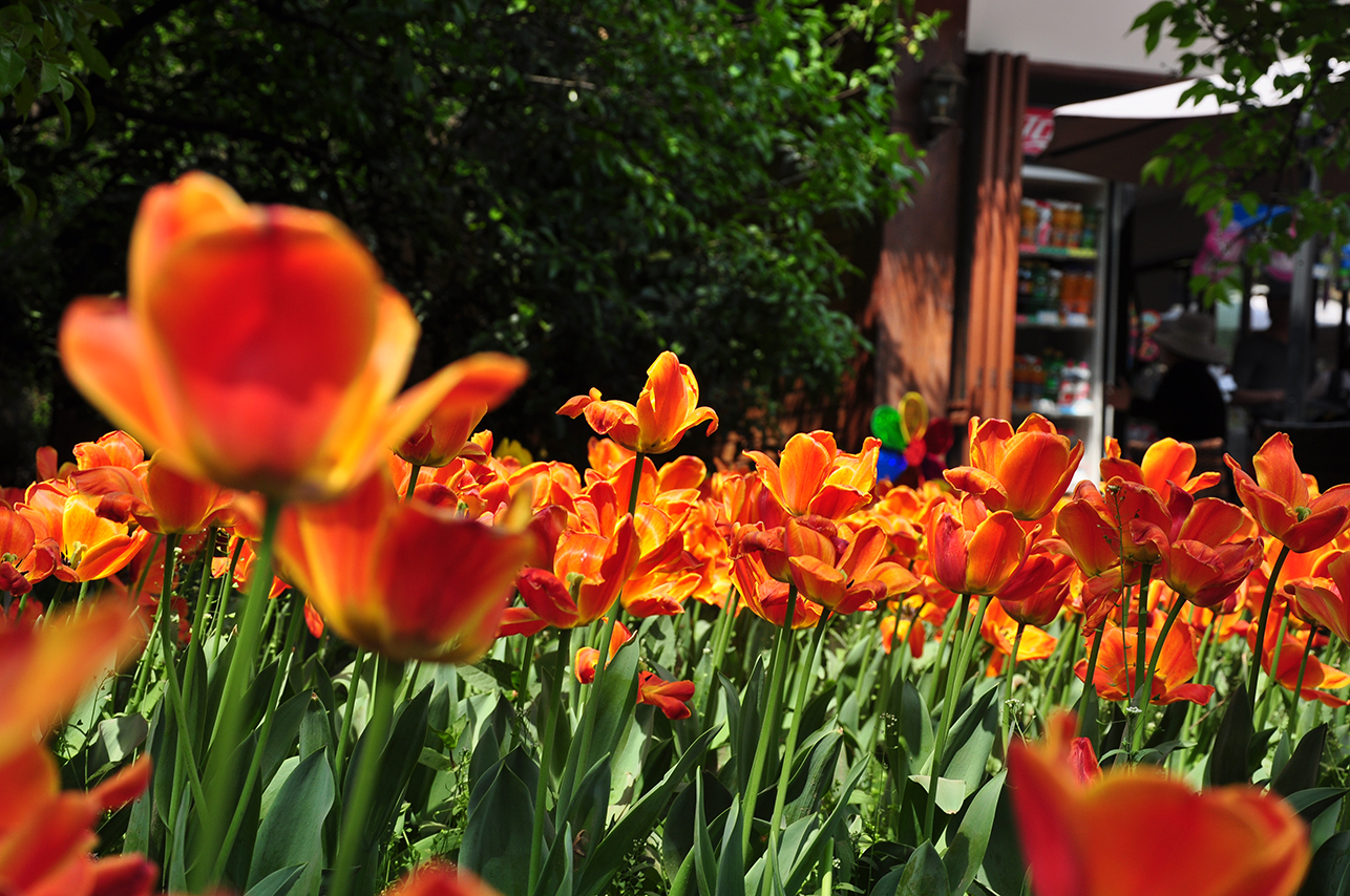 swind的个人主页（封面预览） - 主页封面设置 - 站酷设计师swind原创素材 - 站酷ZCOOL