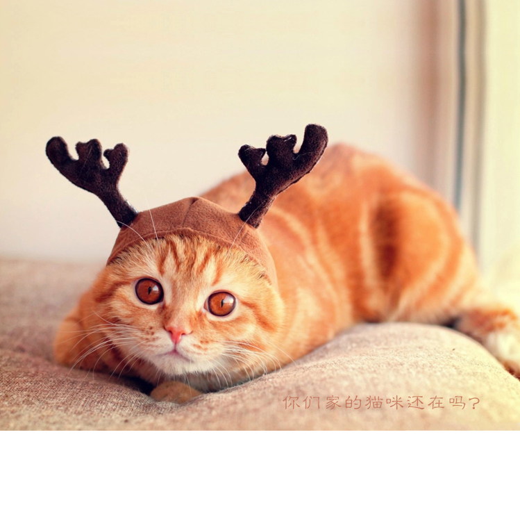 冪子的個人主頁（封面預(yù)覽） - 主頁封面設(shè)置 - 站酷設(shè)計師冪子原創(chuàng)素材 - 站酷ZCOOL