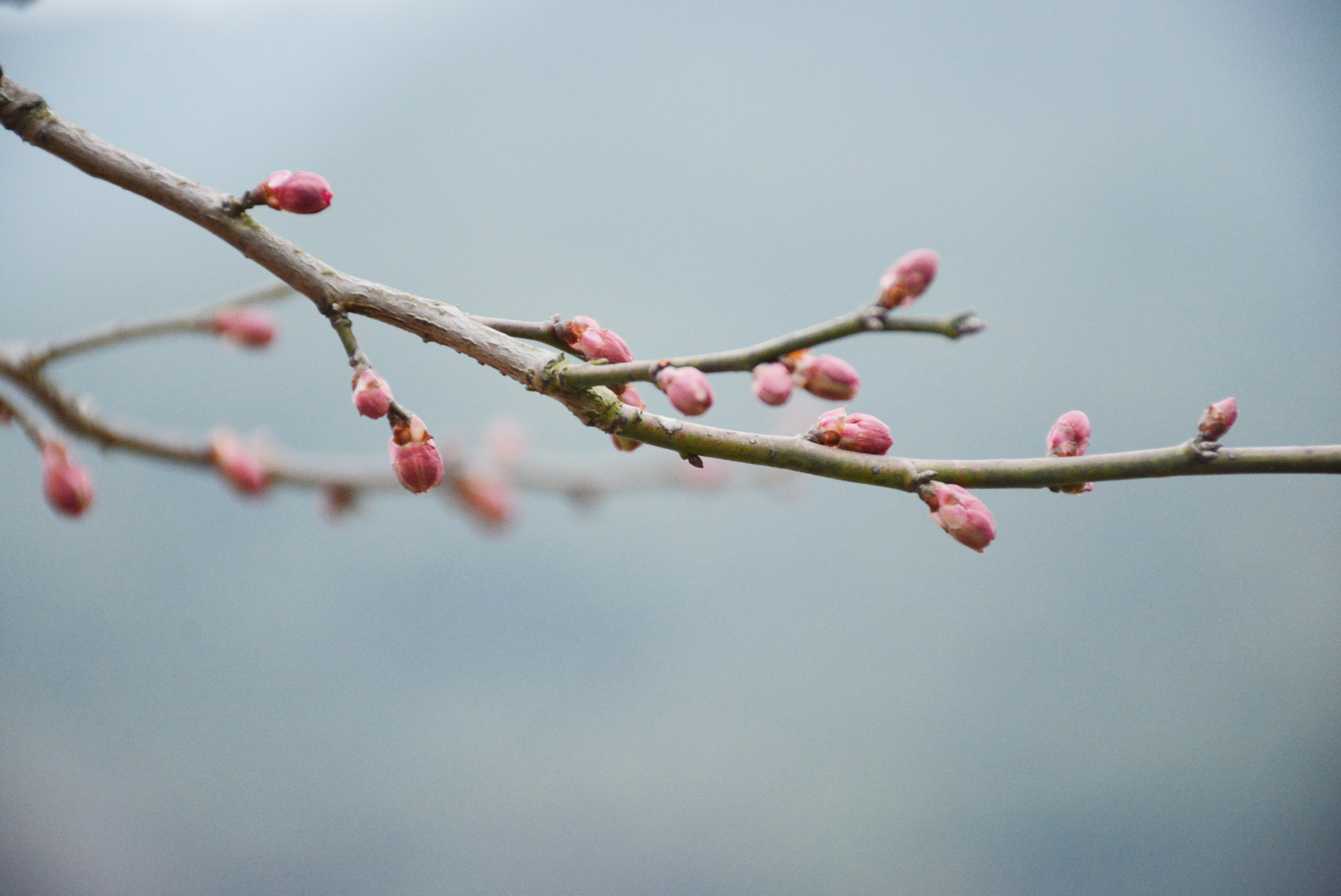 Y開心肖肖樂Y的個(gè)人主頁（封面預(yù)覽） - 主頁封面設(shè)置 - 站酷設(shè)計(jì)師Y開心肖肖樂Y原創(chuàng)素材 - 站酷ZCOOL