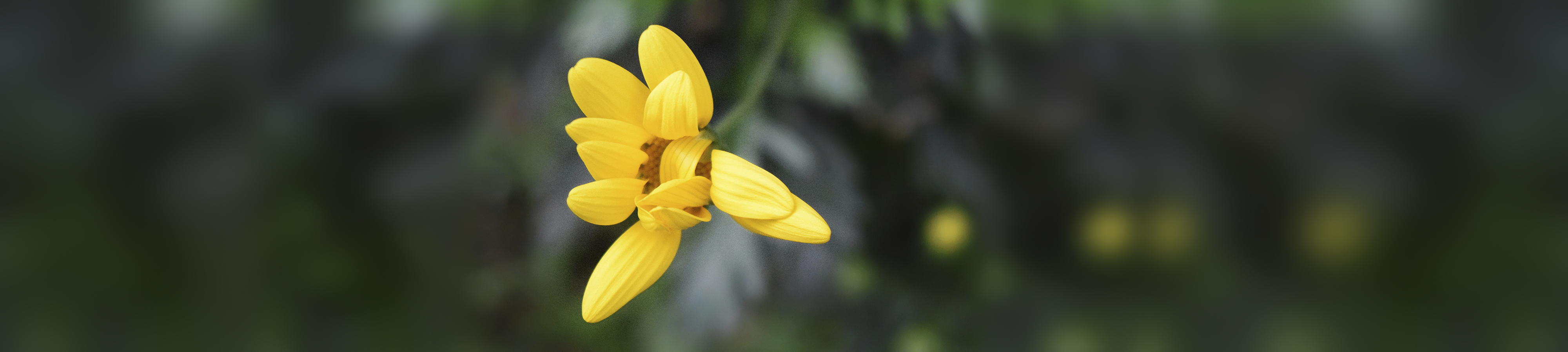 smileys的个人主页（封面预览） - 主页封面设置 - 站酷设计师smileys原创素材 - 站酷ZCOOL