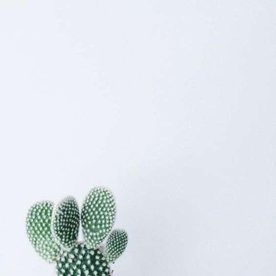 猴小孬的个人主页（封面预览） - 主页封面设置 - 站酷设计师猴小孬原创素材 - 站酷ZCOOL