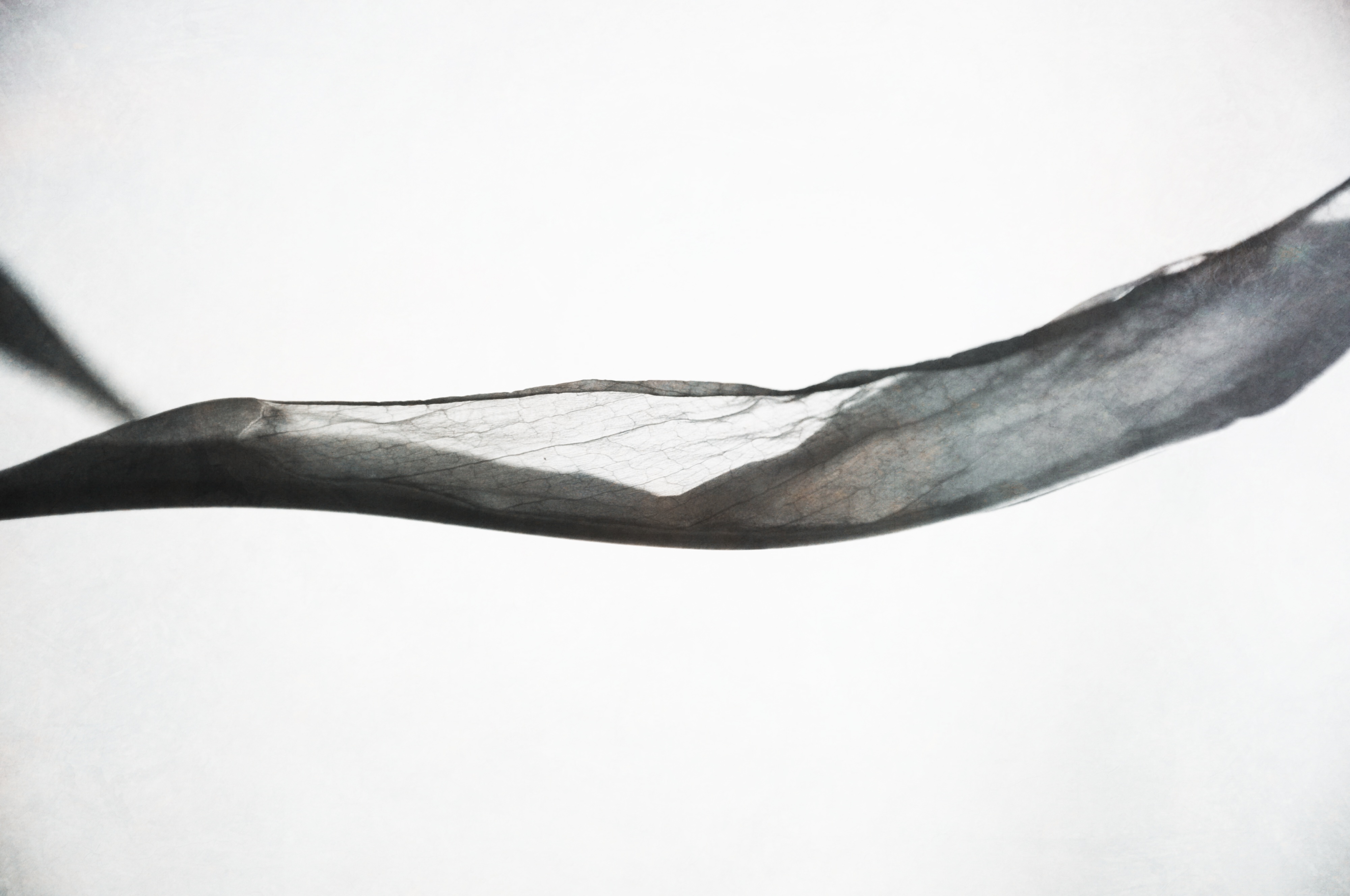 壹拾贰12的个人主页（封面预览） - 主页封面设置 - 站酷设计师壹拾贰12原创素材 - 站酷ZCOOL