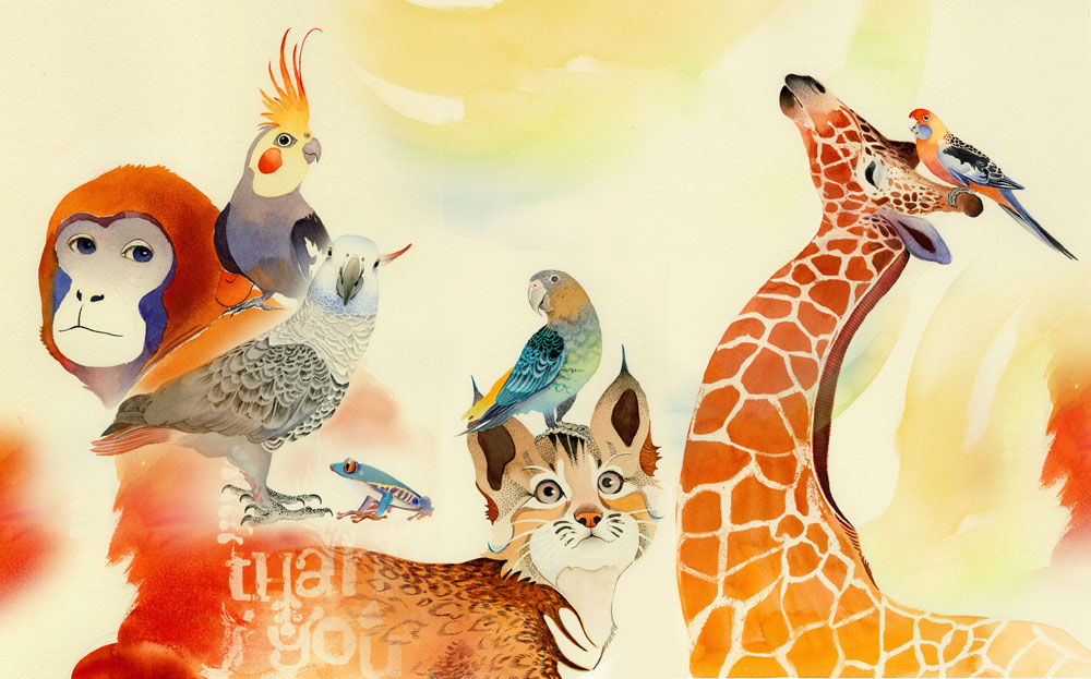 彥青Shalee的個(gè)人主頁（封面預(yù)覽） - 主頁封面設(shè)置 - 站酷設(shè)計(jì)師彥青Shalee原創(chuàng)素材 - 站酷ZCOOL