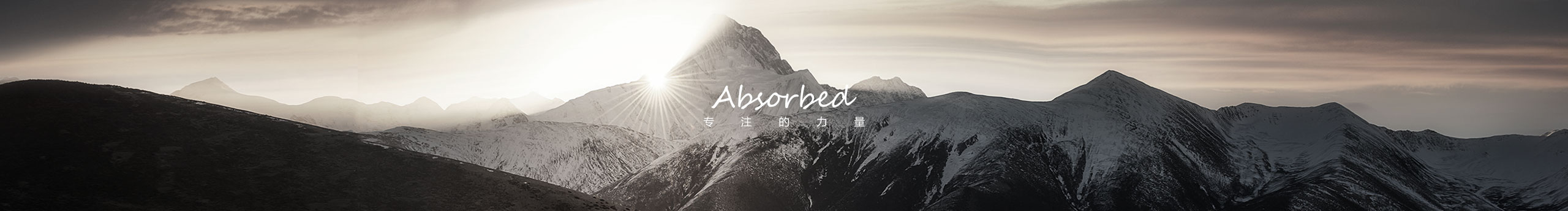 绝地苍狼的个人主页（封面预览） - 主页封面设置 - 站酷设计师绝地苍狼原创素材 - 站酷ZCOOL