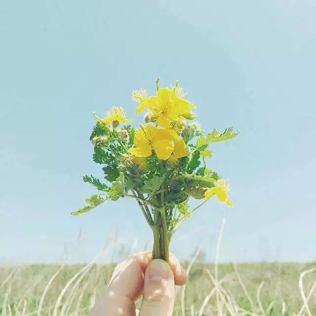 llh1507490的个人主页（封面预览） - 主页封面设置 - 站酷设计师llh1507490原创素材 - 站酷ZCOOL