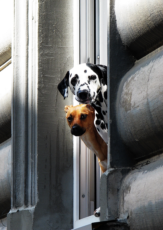 YUAN_design的个人主页（封面预览） - 主页封面设置 - 站酷设计师YUAN_design原创素材 - 站酷ZCOOL