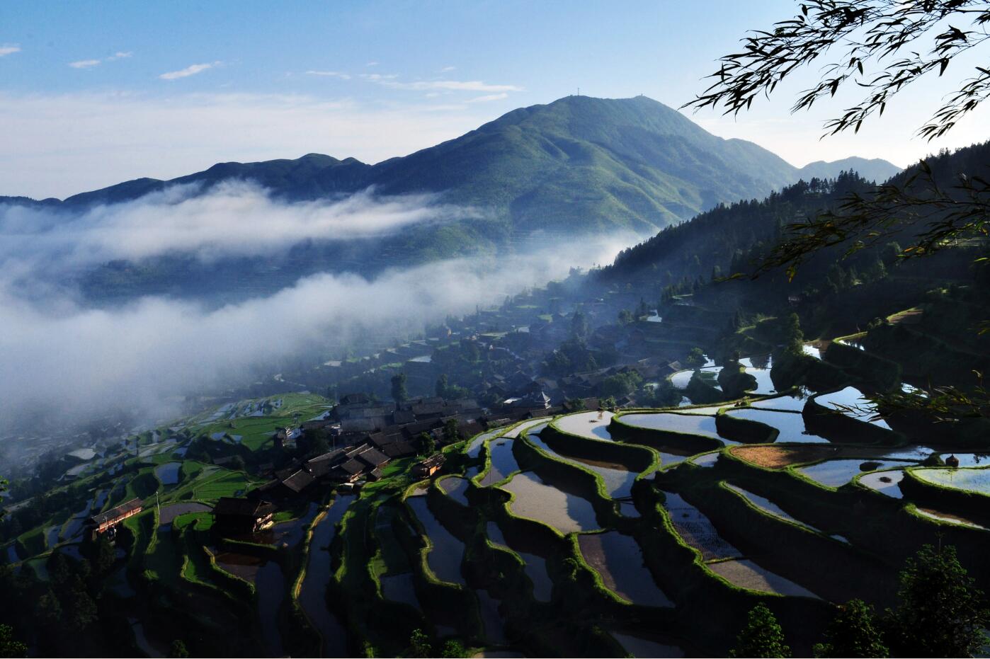 沐歌yc的个人主页（封面预览） - 主页封面设置 - 站酷设计师沐歌yc原创素材 - 站酷ZCOOL