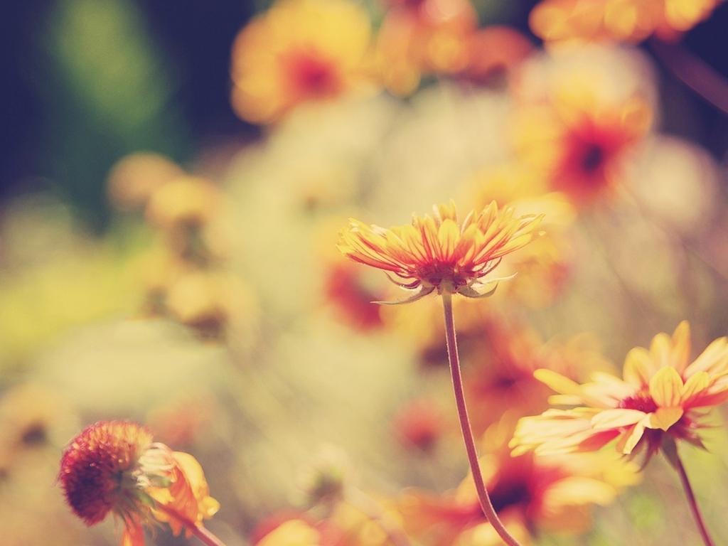 Silverdew0810的个人主页（封面预览） - 主页封面设置 - 站酷设计师Silverdew0810原创素材 - 站酷ZCOOL