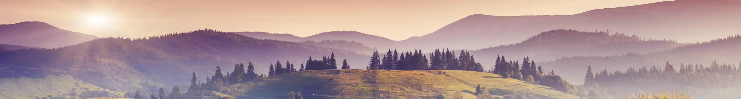 一颗大牙的个人主页（封面预览） - 主页封面设置 - 站酷设计师一颗大牙原创素材 - 站酷ZCOOL