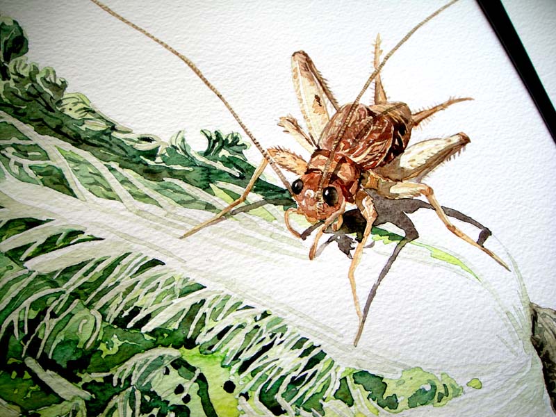 火儿的个人主页（封面预览） - 主页封面设置 - 站酷设计师火儿原创素材 - 站酷ZCOOL