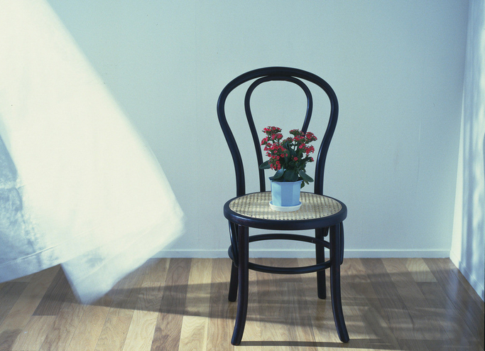 流浪一只喵的个人主页（封面预览） - 主页封面设置 - 站酷设计师流浪一只喵原创素材 - 站酷ZCOOL