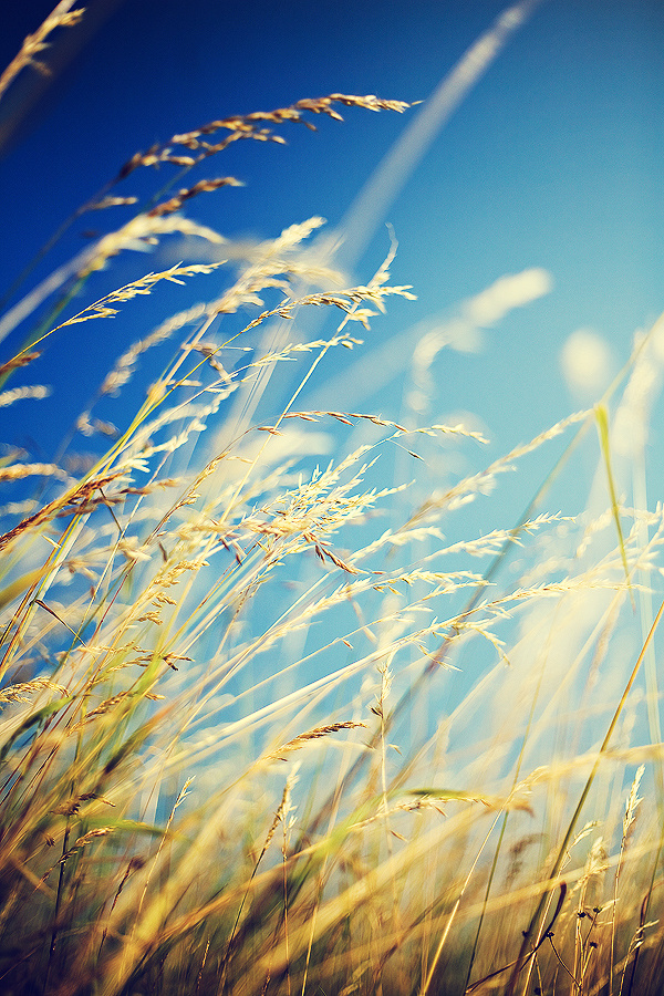 halensa的个人主页（封面预览） - 主页封面设置 - 站酷设计师halensa原创素材 - 站酷ZCOOL