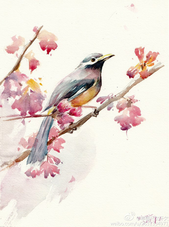 爱猫的静华的个人主页（封面预览） - 主页封面设置 - 站酷设计师爱猫的静华原创素材 - 站酷ZCOOL