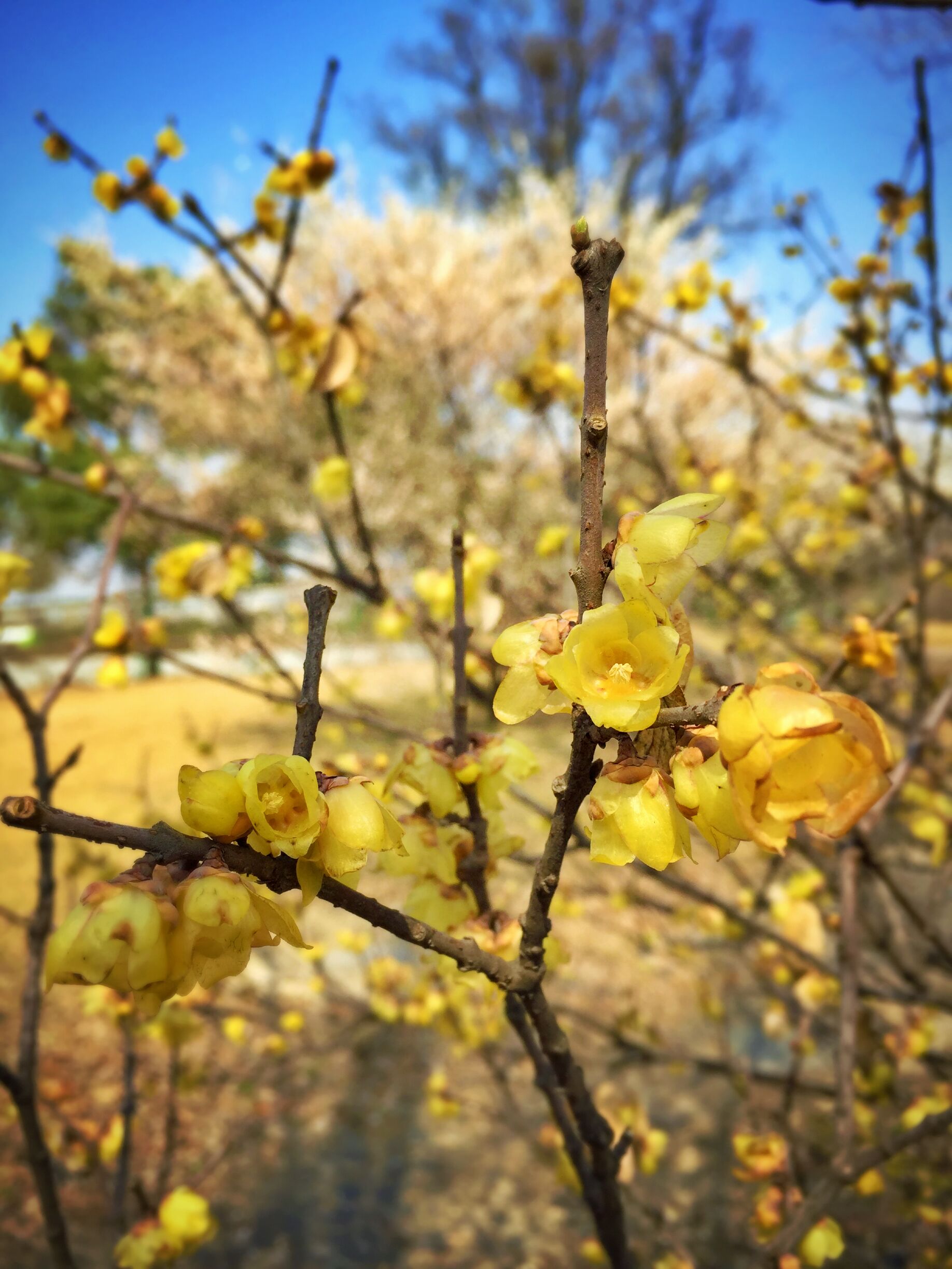 anmi6200的个人主页（封面预览） - 主页封面设置 - 站酷设计师anmi6200原创素材 - 站酷ZCOOL