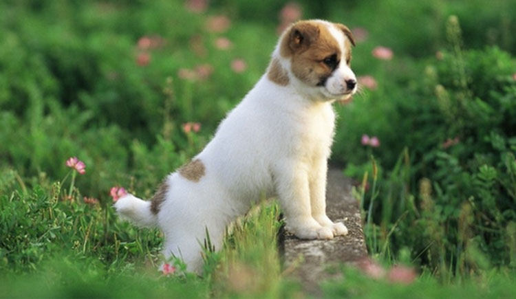 anrul的個人主頁（封面預覽） - 主頁封面設置 - 站酷設計師anrul原創(chuàng)素材 - 站酷ZCOOL