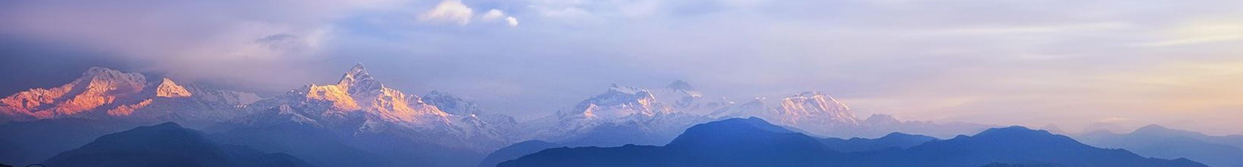 lilisa2020的个人主页（封面预览） - 主页封面设置 - 站酷设计师lilisa2020原创素材 - 站酷ZCOOL