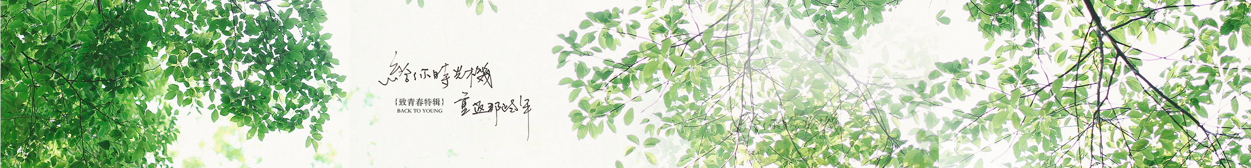 lavender之阿沫的個(gè)人主頁（封面預(yù)覽） - 主頁封面設(shè)置 - 站酷設(shè)計(jì)師lavender之阿沫原創(chuàng)素材 - 站酷ZCOOL