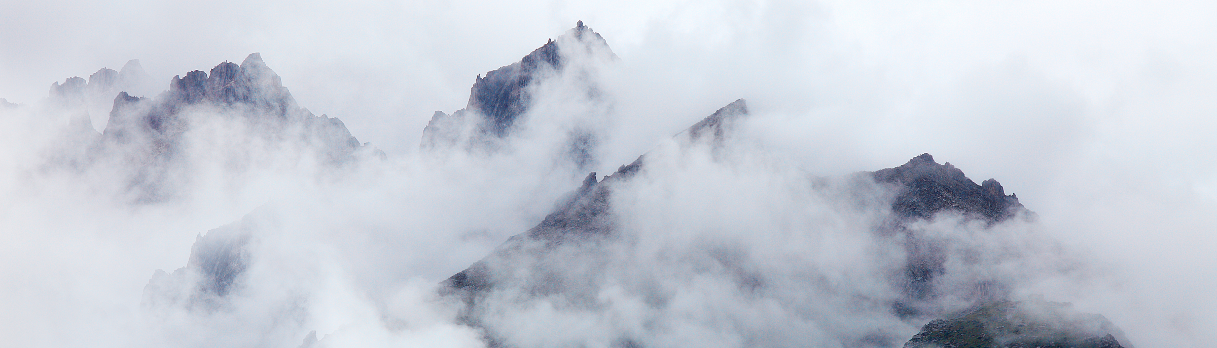 胖了個大星的個人主頁（封面預覽） - 主頁封面設置 - 站酷設計師胖了個大星原創(chuàng)素材 - 站酷ZCOOL