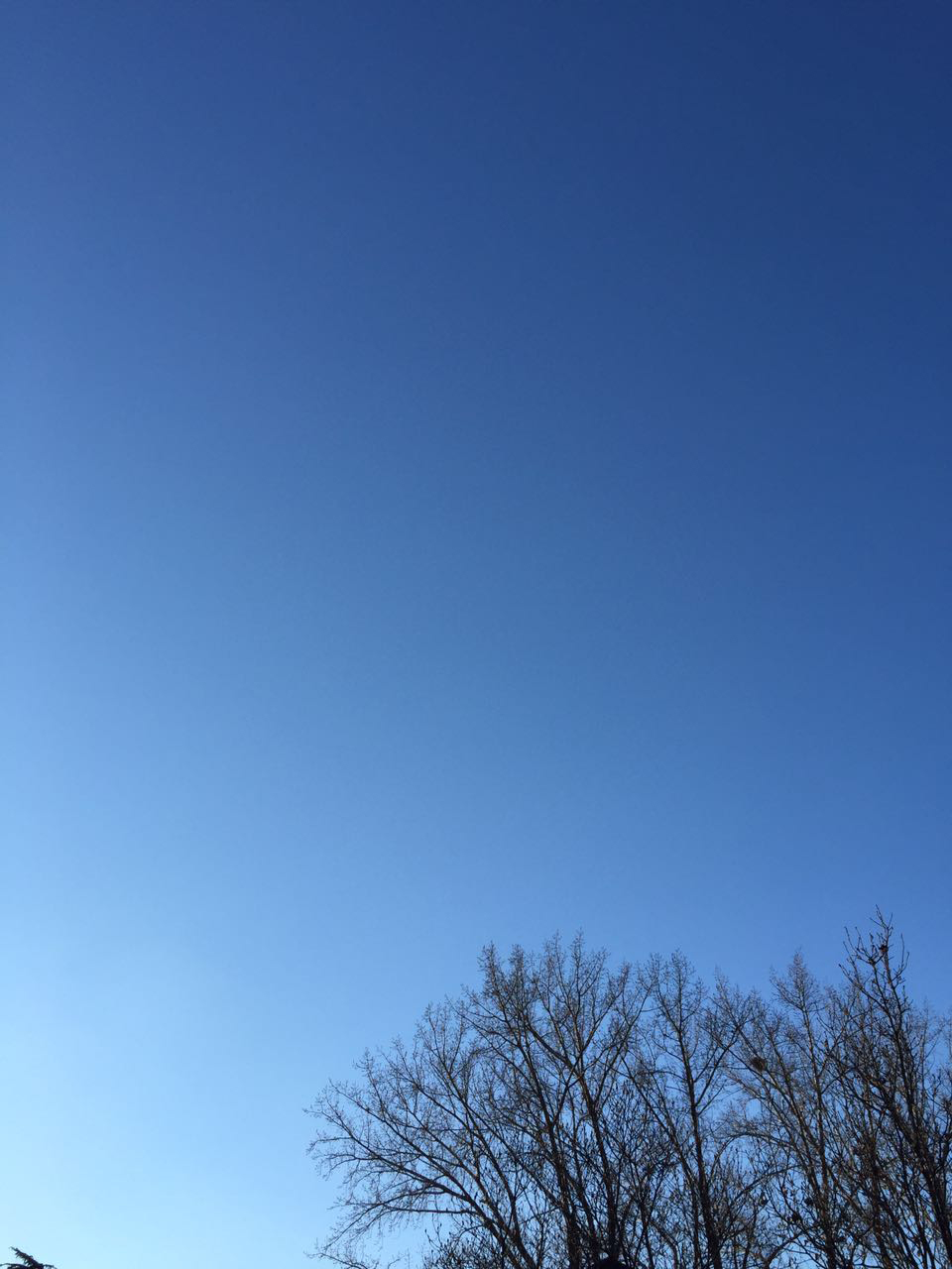 laluna的個(gè)人主頁（封面預(yù)覽） - 主頁封面設(shè)置 - 站酷設(shè)計(jì)師laluna原創(chuàng)素材 - 站酷ZCOOL