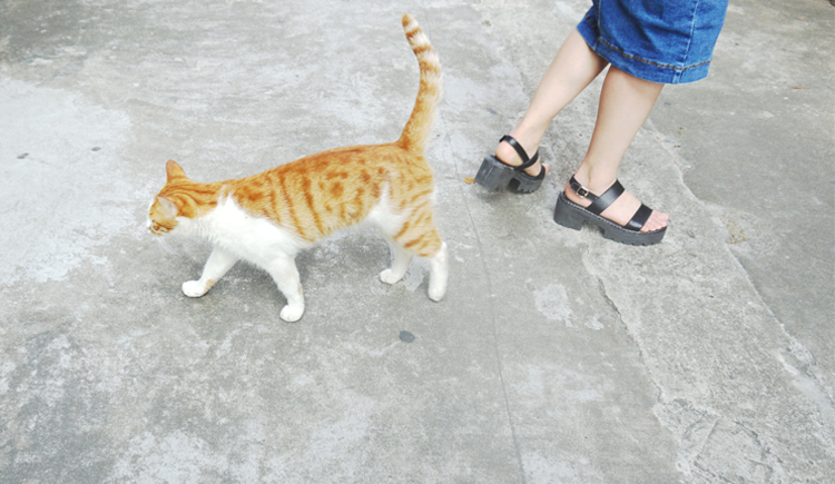 eddybaby的個人主頁（封面預覽） - 主頁封面設置 - 站酷設計師eddybaby原創(chuàng)素材 - 站酷ZCOOL