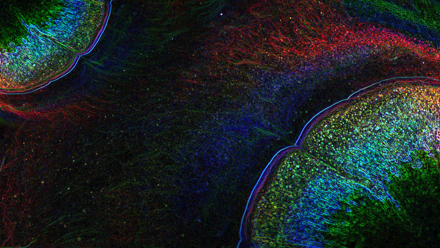 慢設計lyf的個人主頁（封面預覽） - 主頁封面設置 - 站酷設計師慢設計lyf原創(chuàng)素材 - 站酷ZCOOL