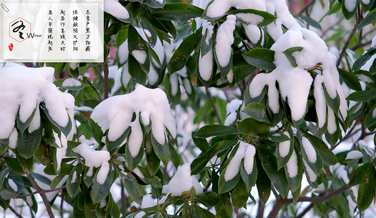 你的名字呢的个人主页（封面预览） - 主页封面设置 - 站酷设计师你的名字呢原创素材 - 站酷ZCOOL