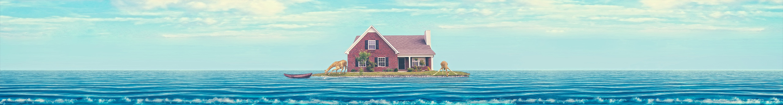 我想捡只猫呀的个人主页（封面预览） - 主页封面设置 - 站酷设计师我想捡只猫呀原创素材 - 站酷ZCOOL