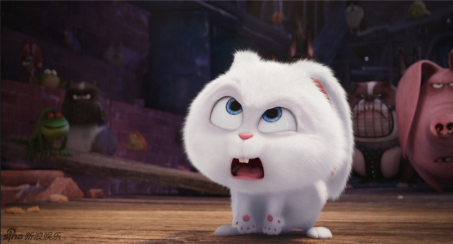 柚柚柚子姑娘的个人主页（封面预览） - 主页封面设置 - 站酷设计师柚柚柚子姑娘原创素材 - 站酷ZCOOL