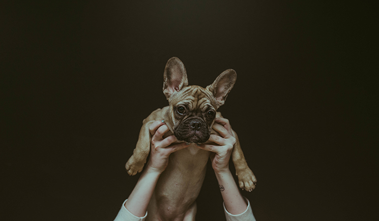 我們不熟丶的個(gè)人主頁(yè)（封面預(yù)覽） - 主頁(yè)封面設(shè)置 - 站酷設(shè)計(jì)師我們不熟丶原創(chuàng)素材 - 站酷ZCOOL