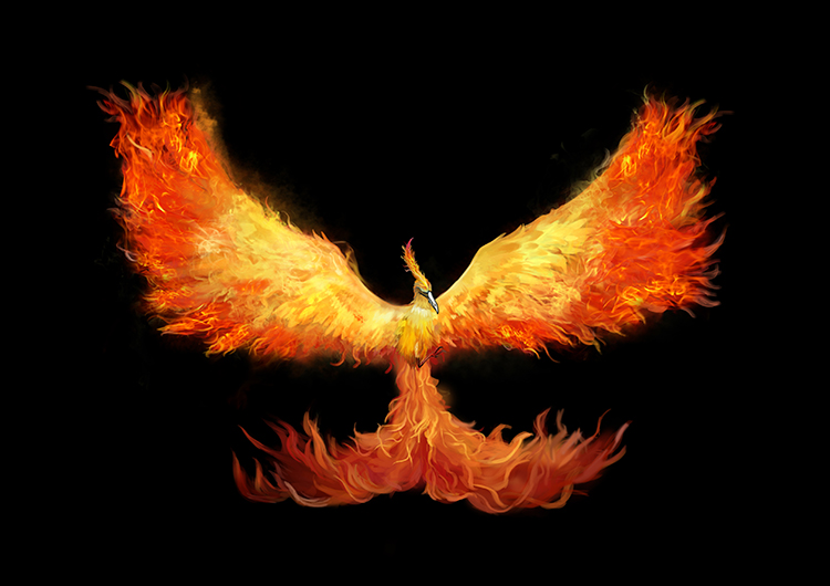 mercia的個人主頁（封面預(yù)覽） - 主頁封面設(shè)置 - 站酷設(shè)計師mercia原創(chuàng)素材 - 站酷ZCOOL