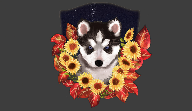 Rycoo的个人主页（封面预览） - 主页封面设置 - 站酷设计师Rycoo原创素材 - 站酷ZCOOL