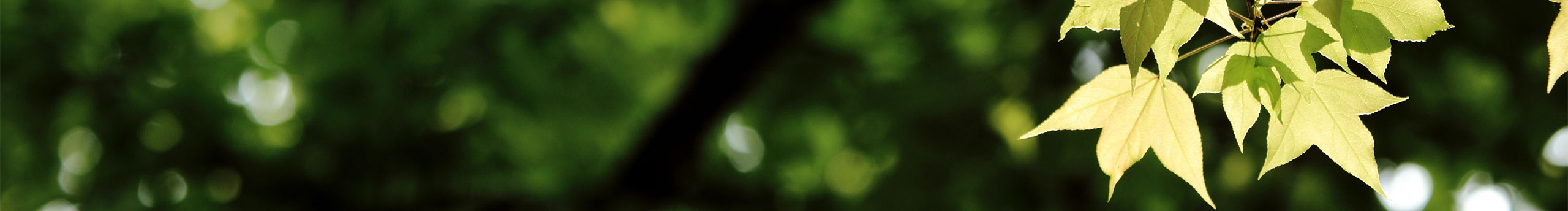 YUEN發(fā)記的個(gè)人主頁(yè)（封面預(yù)覽） - 主頁(yè)封面設(shè)置 - 站酷設(shè)計(jì)師YUEN發(fā)記原創(chuàng)素材 - 站酷ZCOOL