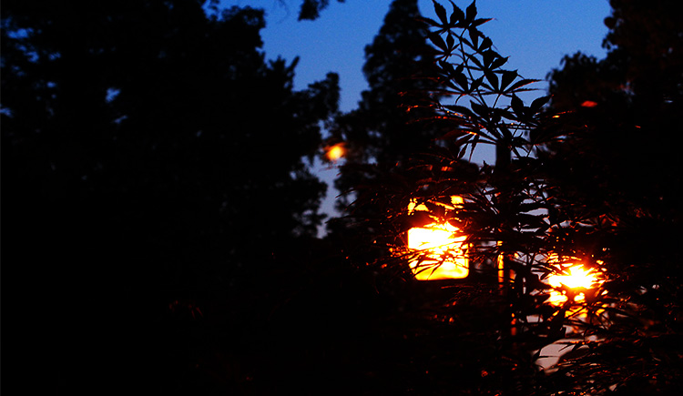 隔壁大圣的個(gè)人主頁（封面預(yù)覽） - 主頁封面設(shè)置 - 站酷設(shè)計(jì)師隔壁大圣原創(chuàng)素材 - 站酷ZCOOL