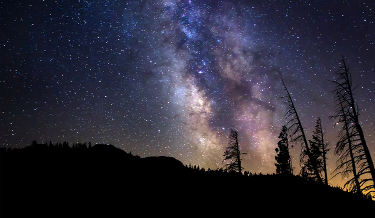 丢丢王的个人主页（封面预览） - 主页封面设置 - 站酷设计师丢丢王原创素材 - 站酷ZCOOL