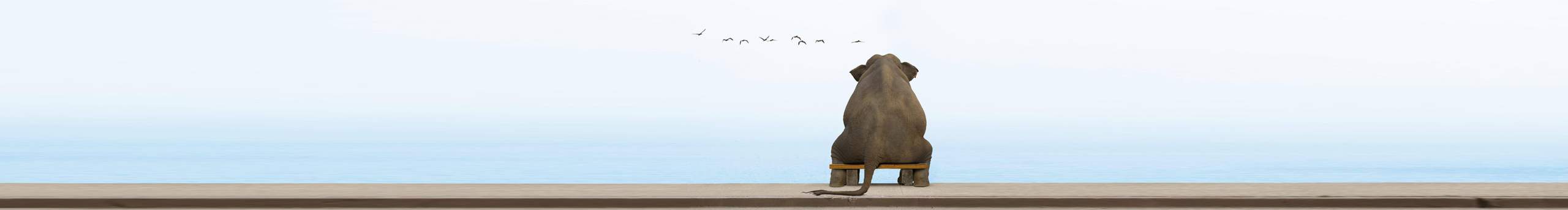 贺贺hluther的个人主页（封面预览） - 主页封面设置 - 站酷设计师贺贺hluther原创素材 - 站酷ZCOOL