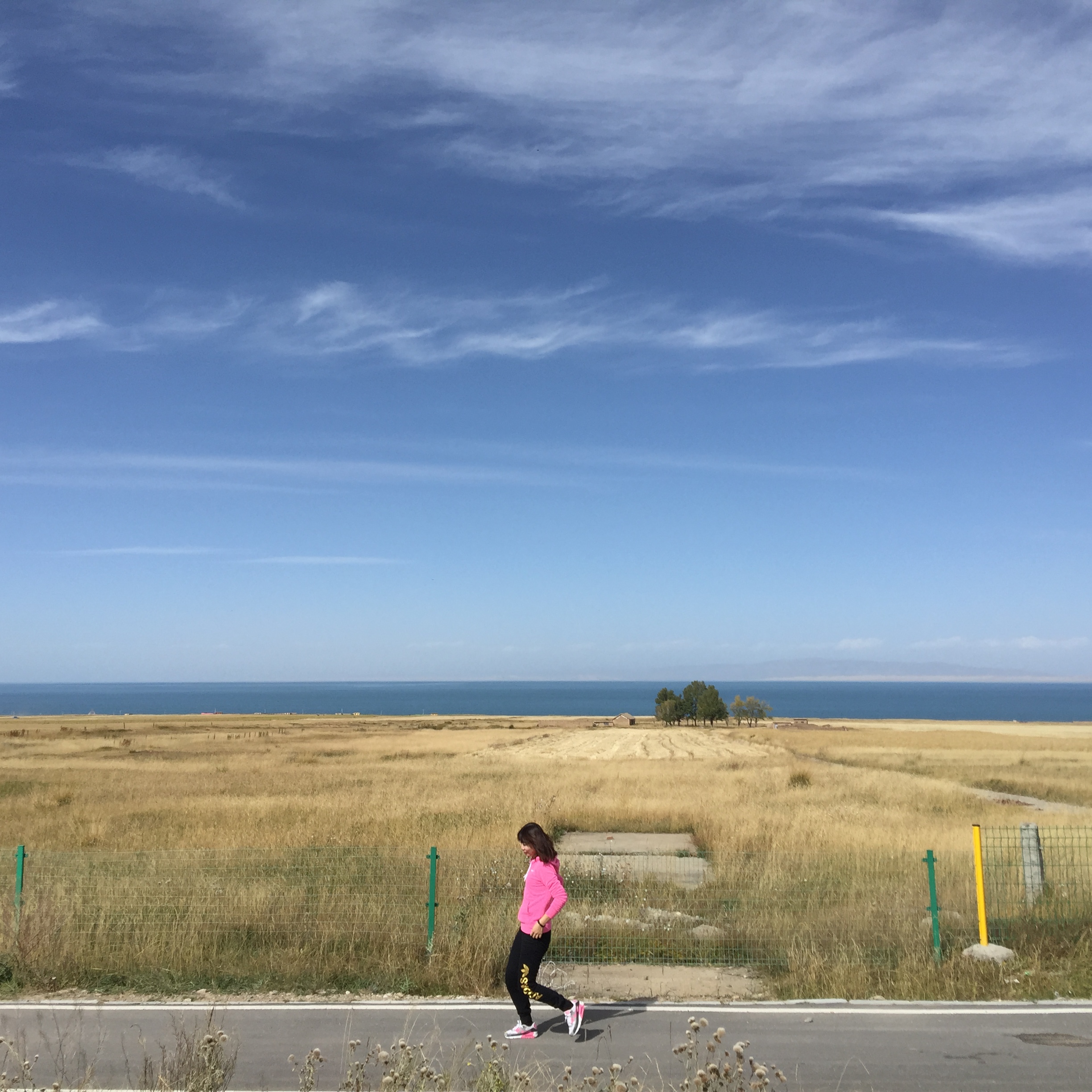 蘇打迪迪的個(gè)人主頁(yè)（封面預(yù)覽） - 主頁(yè)封面設(shè)置 - 站酷設(shè)計(jì)師蘇打迪迪原創(chuàng)素材 - 站酷ZCOOL