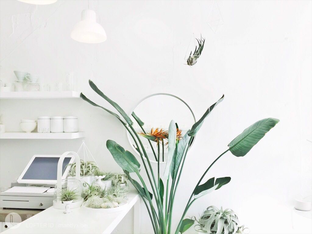 三山3的個(gè)人主頁（封面預(yù)覽） - 主頁封面設(shè)置 - 站酷設(shè)計(jì)師三山3原創(chuàng)素材 - 站酷ZCOOL