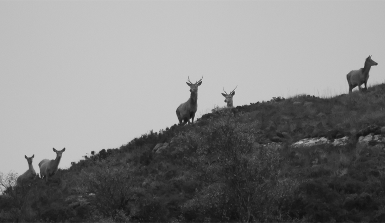 加索三森的個(gè)人主頁(yè)（封面預(yù)覽） - 主頁(yè)封面設(shè)置 - 站酷設(shè)計(jì)師加索三森原創(chuàng)素材 - 站酷ZCOOL