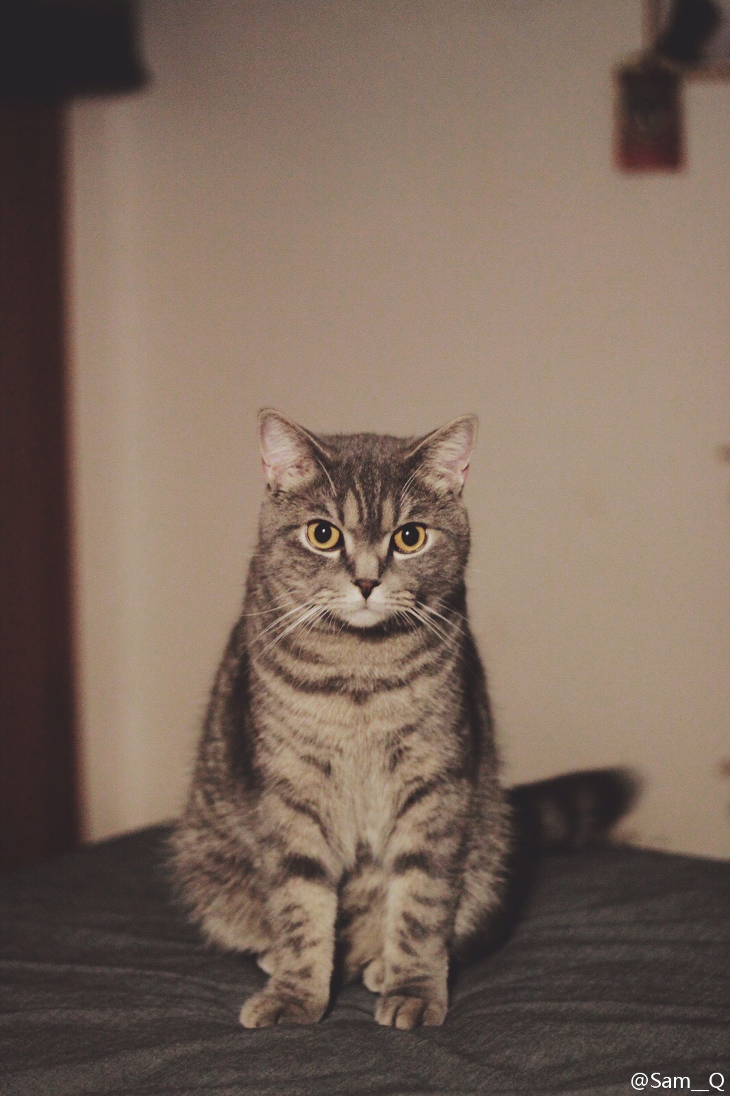 KUMO云的主页 - 站酷 (ZCOOL)