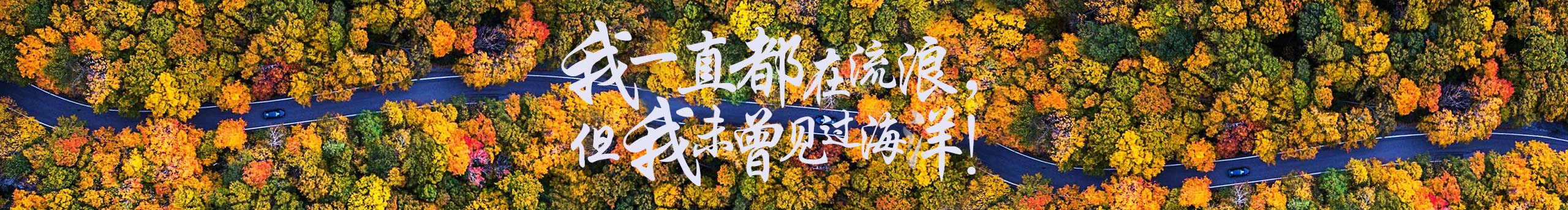 绸缪学徒的个人主页（封面预览） - 主页封面设置 - 站酷设计师绸缪学徒原创素材 - 站酷ZCOOL