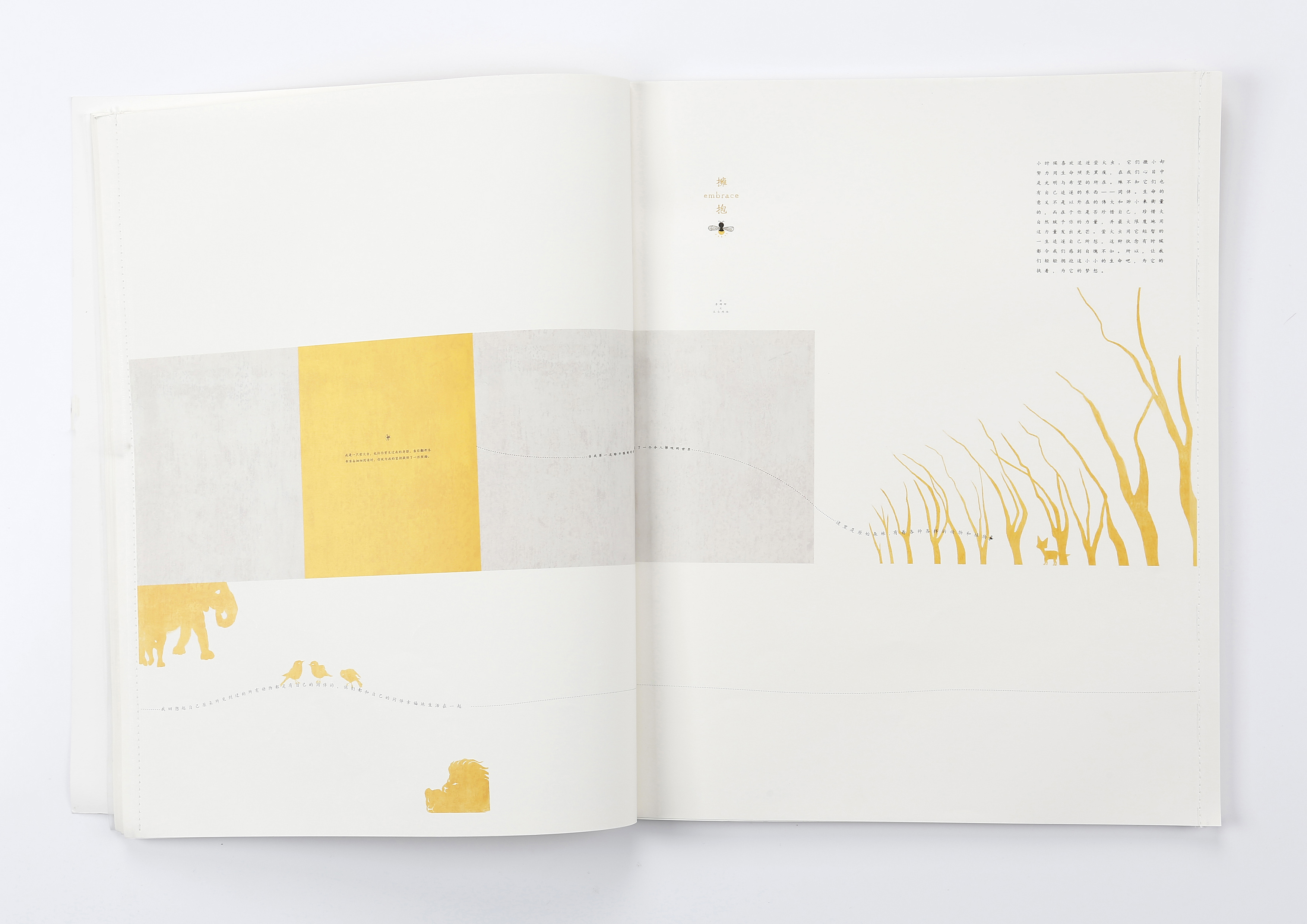 shan_shine的個(gè)人主頁(yè)（封面預(yù)覽） - 主頁(yè)封面設(shè)置 - 站酷設(shè)計(jì)師shan_shine原創(chuàng)素材 - 站酷ZCOOL