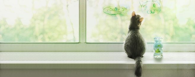 z_gucci的个人主页（封面预览） - 主页封面设置 - 站酷设计师z_gucci原创素材 - 站酷ZCOOL