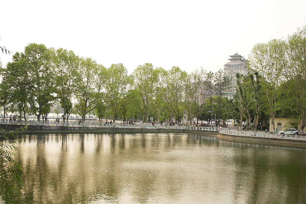 斑马的猫的个人主页（封面预览） - 主页封面设置 - 站酷设计师斑马的猫原创素材 - 站酷ZCOOL
