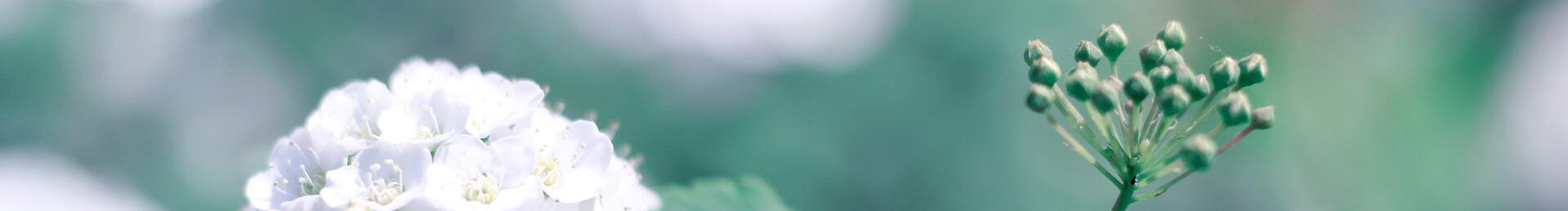 水龙的个人主页（封面预览） - 主页封面设置 - 站酷设计师水龙原创素材 - 站酷ZCOOL