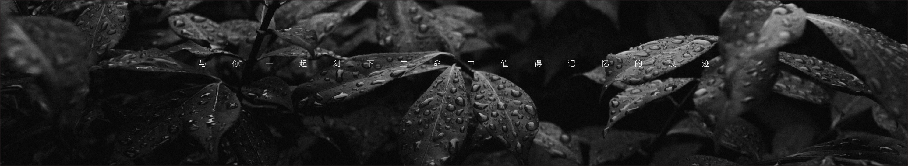 西安1975品牌设计的个人主页（封面预览） - 主页封面设置 - 站酷设计师西安1975品牌设计原创素材 - 站酷ZCOOL