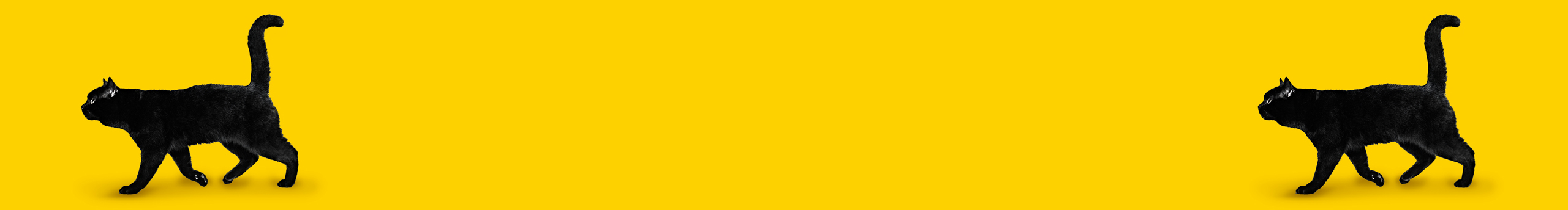 TernNe_的个人主页（封面预览） - 主页封面设置 - 站酷设计师TernNe_原创素材 - 站酷ZCOOL