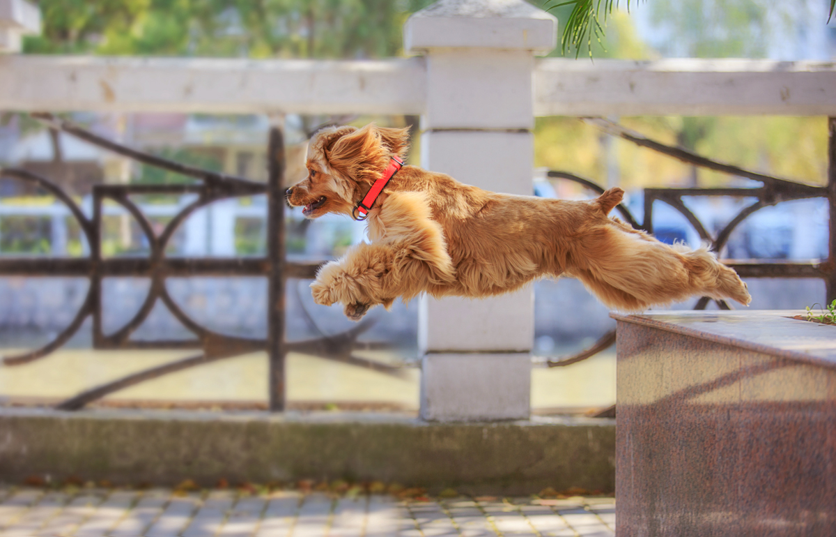 向镜的个人主页（封面预览） - 主页封面设置 - 站酷设计师向镜原创素材 - 站酷ZCOOL